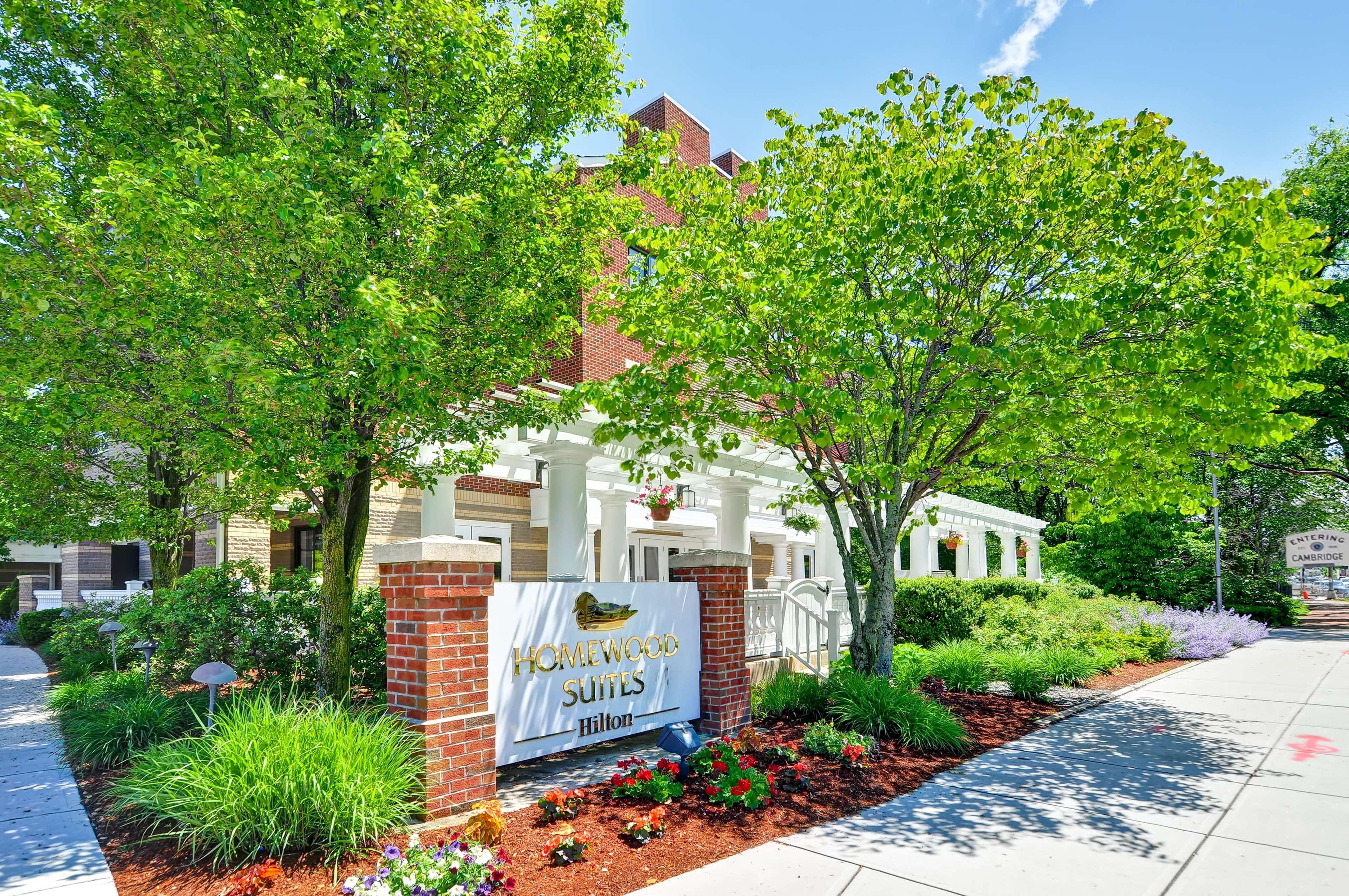 Hotel Homewood By Hilton Boston Cambridge-arlington, Ma Arlington